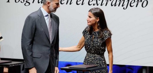 La reina Letizia recupera de su fondo de armario su vestido de ‘falsos lunares’