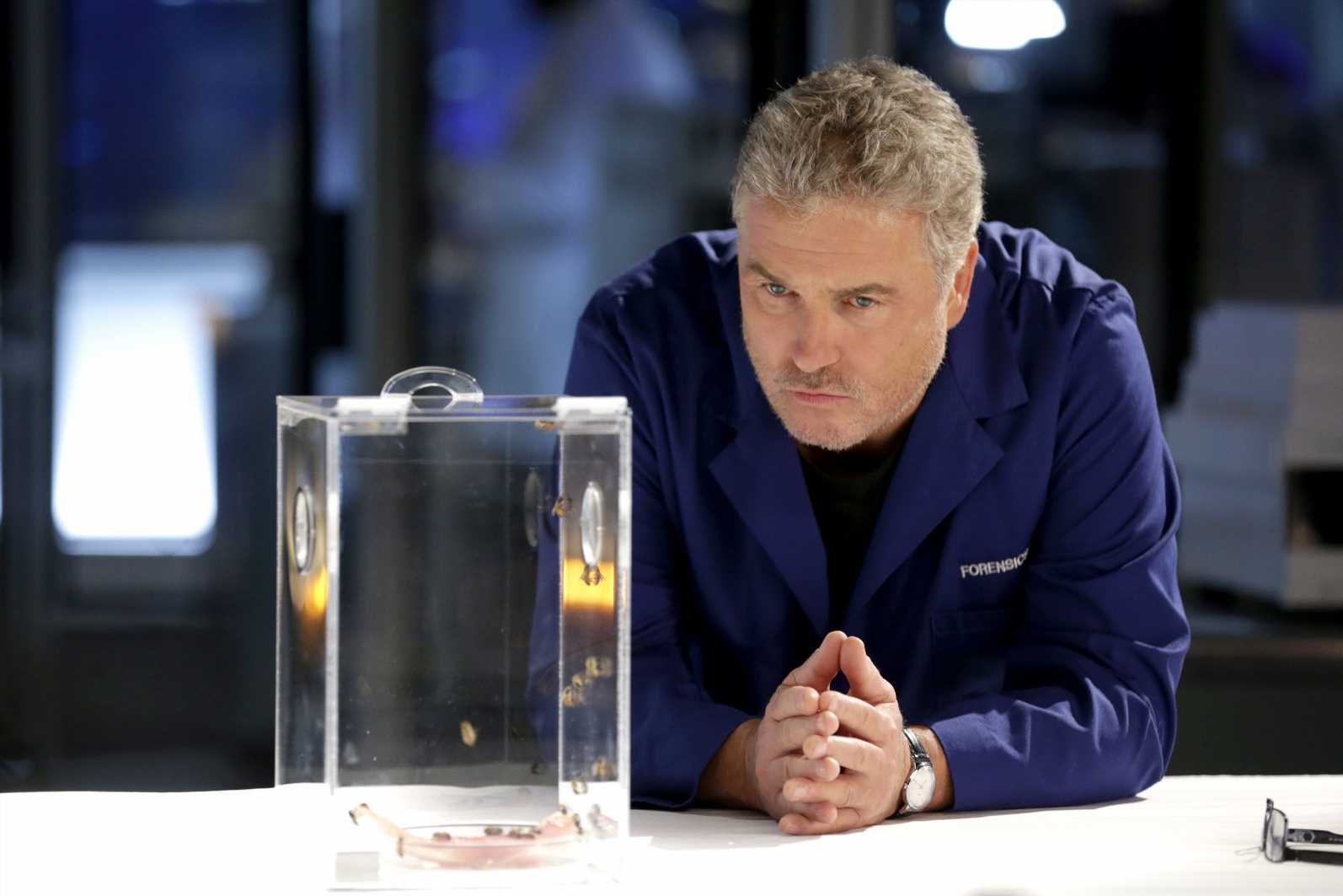 ‘CSI Las Vegas’ 2022: todo sobre el estreno de la serie de Telecinco