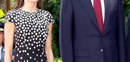 Letizia apuesta por los lunares en su visita de Estado a Angola